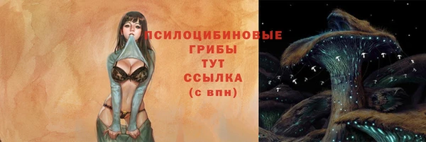 амф Алексеевка