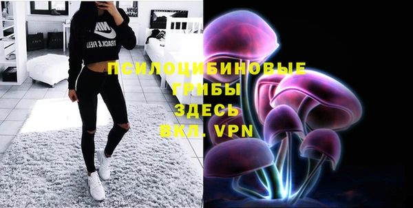 PSILOCYBIN Алексин
