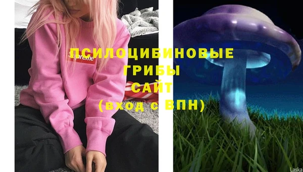PSILOCYBIN Алексин