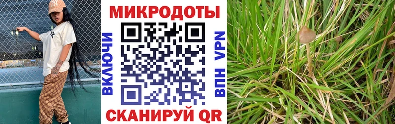 Галлюциногенные грибы Cubensis  Купить  Власиха 